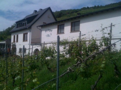 Foto: Weingut Ottes